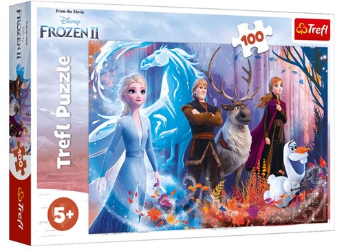 Puzzle | Frozen, Magic of frozen | 100 Brikker |