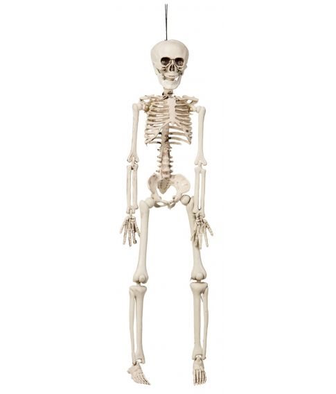 Hængende Skelet | 76cm |