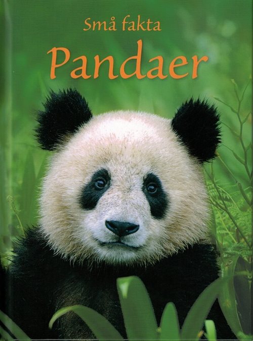 Små fakta: Pandaer af James Maclaine
