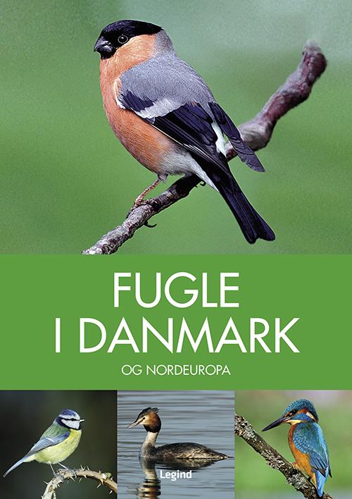 Fugle i Danmark af Peter Goodfellow