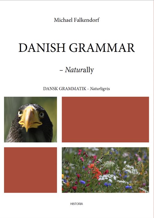 Danish Grammar Naturally af Michael Falkendorf