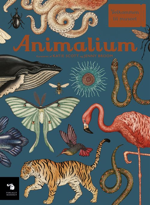 Animalium af Katie Scott & Jenny Broom