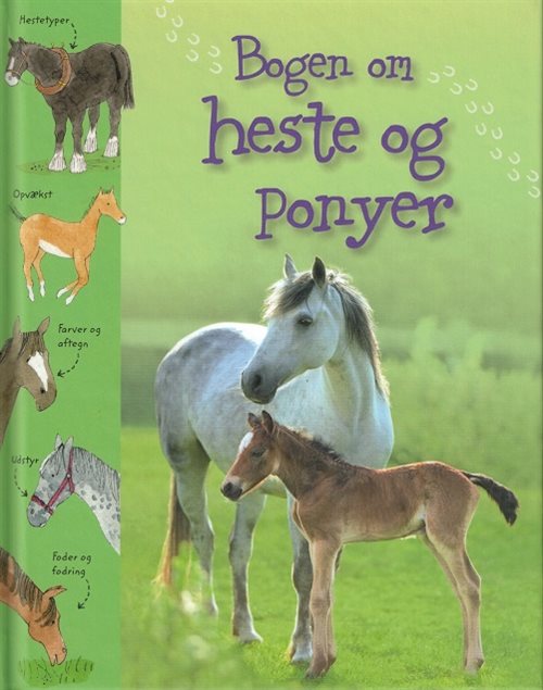 Bogen om heste og ponyer af Sarah Kahn