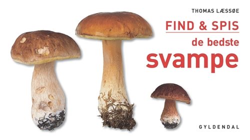 Find & spis de bedste svampe af Thomas Læssøe