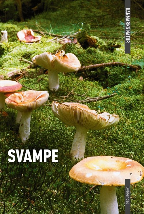 Svampe - Danmarks natur af Torben Gang Rasmussen