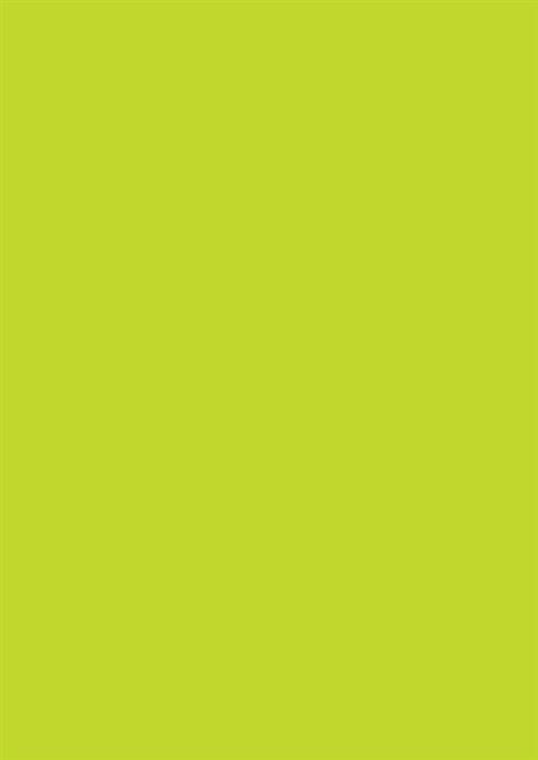 Farvet karton A4 170g græsgrøn (10)