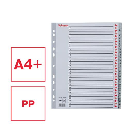 Register PP A4 maxi 1-31 grå