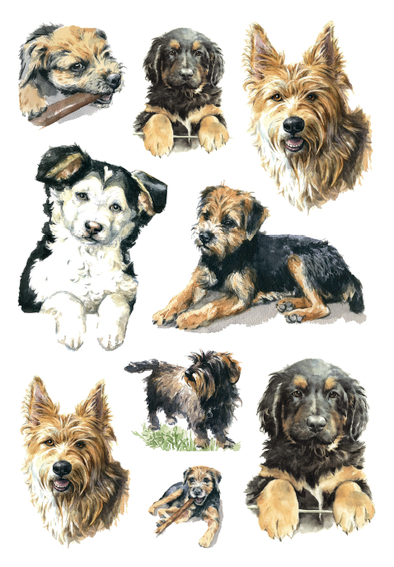 Herma stickers Decor hunde (3)