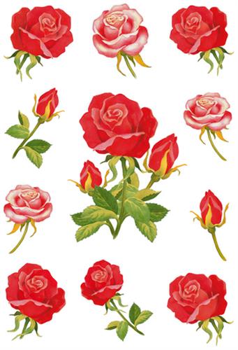 Herma stickers Decor roser (3)